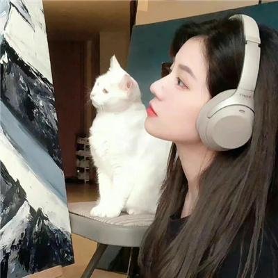 我的修真靠抽卡